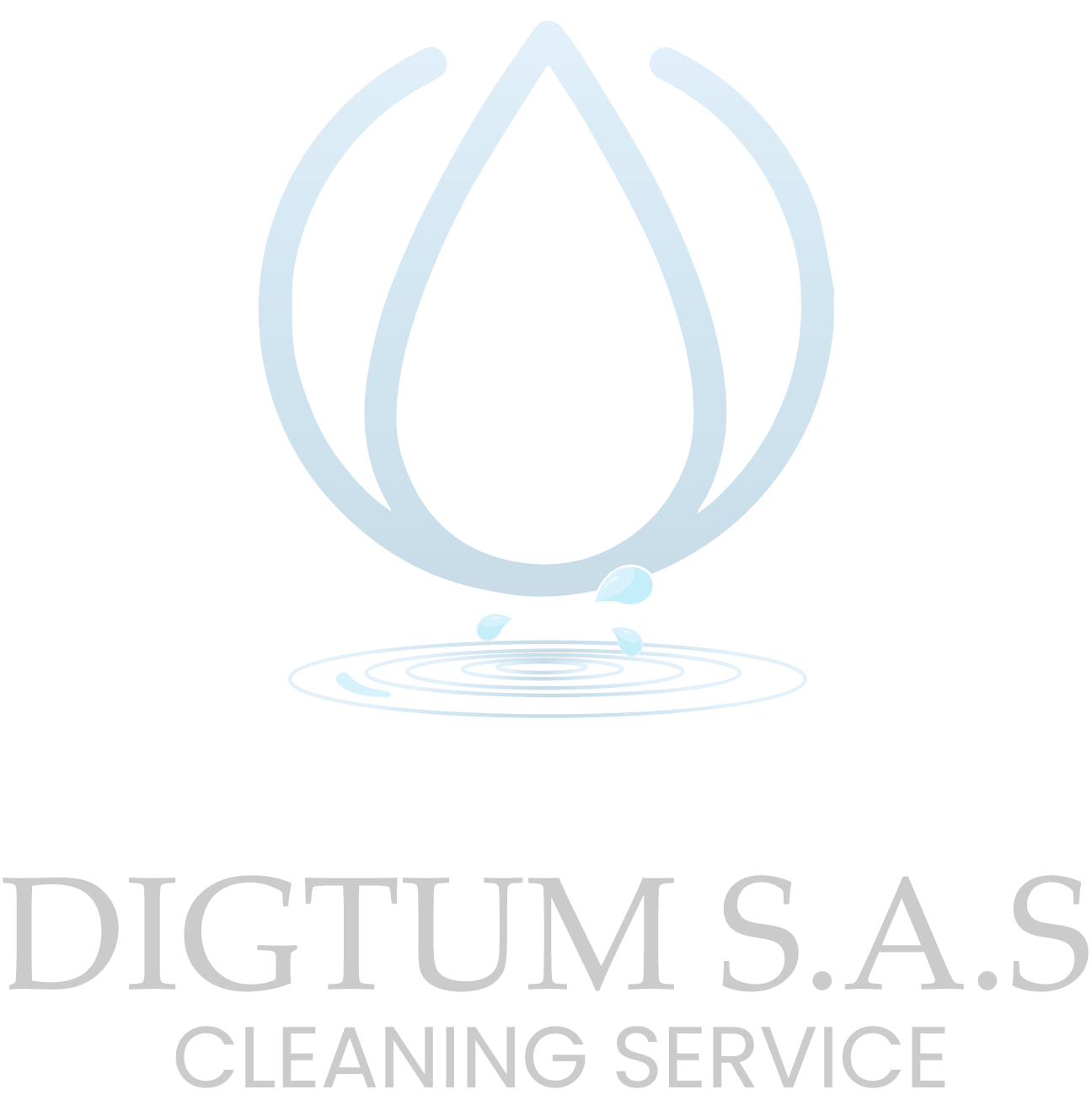 Digtum Cleaning